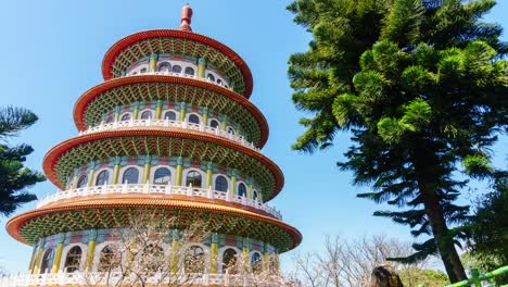 time lapse footage of tian yuan temple with pink sakura flower at taipei, taiwan