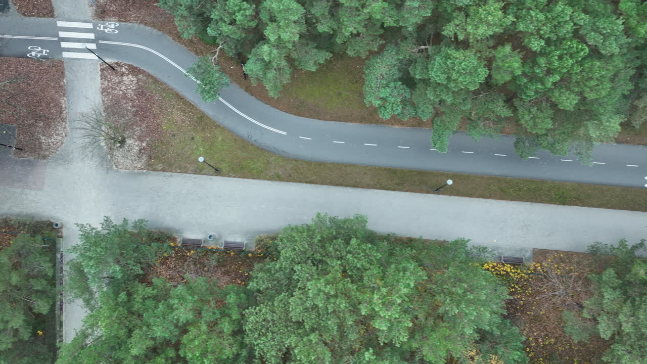 Overhead drone view of forest road and walking path with scattered yellow autumn leaves and pedestrians