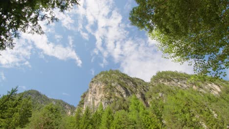 tripod shot looking up at mountain peak and trees