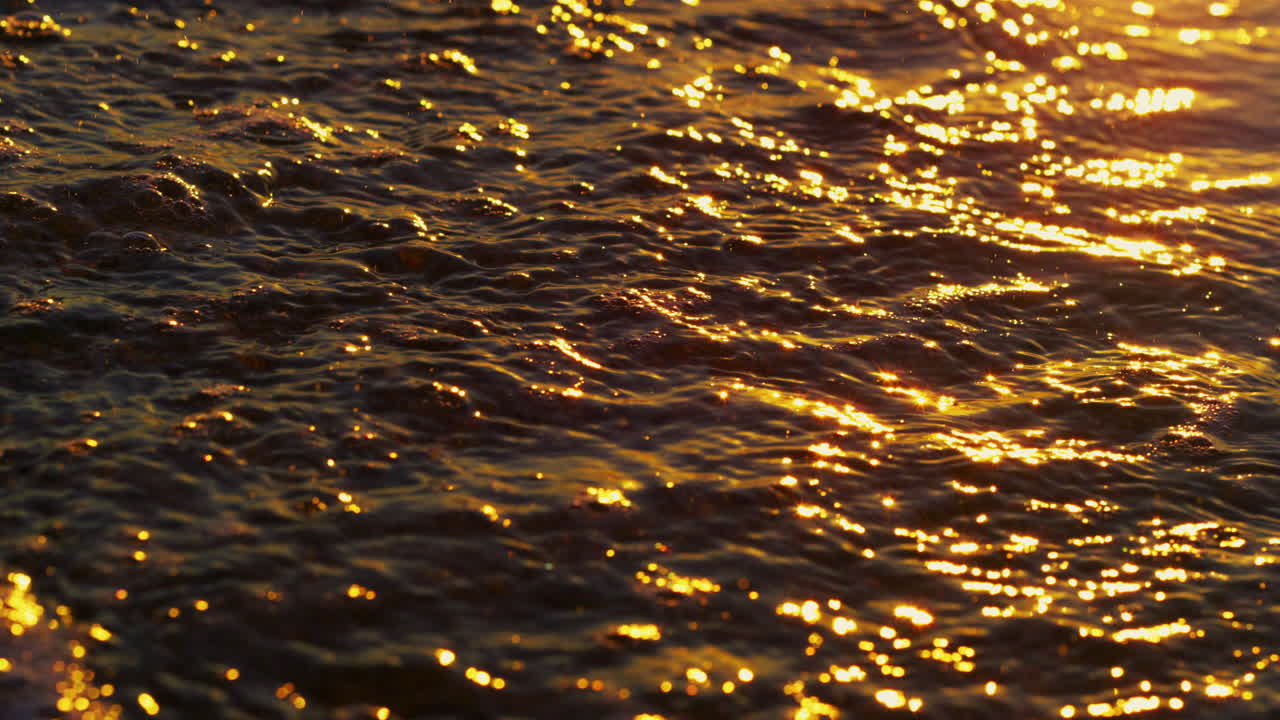 Calm ocean waves splashing golden sand beach. Orange sunrise reflect sea water