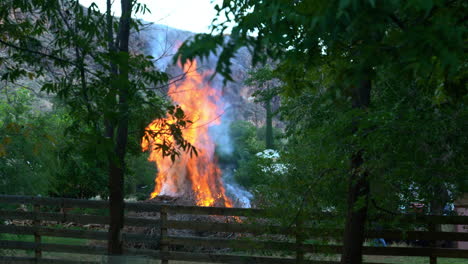 quema controlada de pilas para la prevención de incendios forestales en un bosque