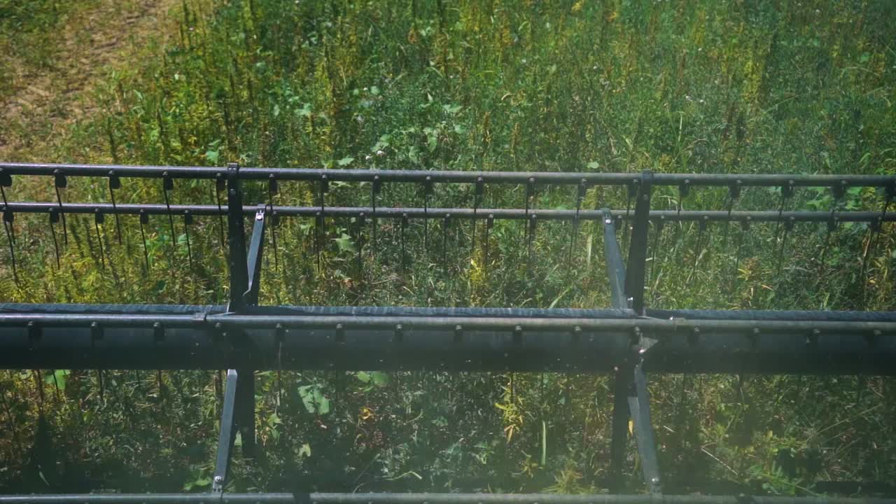 carrete de un tractor agrícola cosechando exuberantes cultivos verdes en el campo