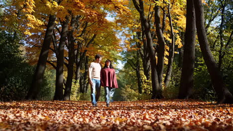 una pareja caminando en el parque de otoño.