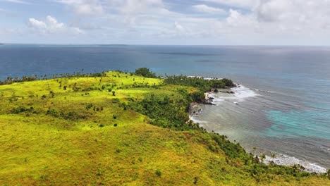 vibrant grassy hills descend into a grove of palm trees along the coastline, meeting the deep blue waters of the pacific near corregidor island, siargao islands, philippines under a partly cloudy sky