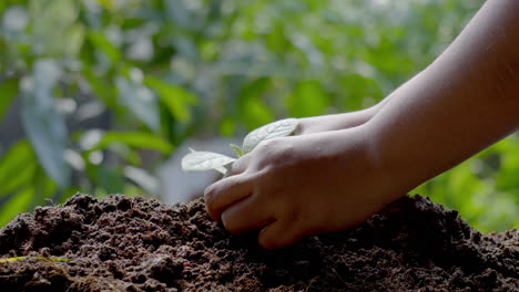 Mujeres-Plantando-Y-Cuidando-El-Medio-Ambiente