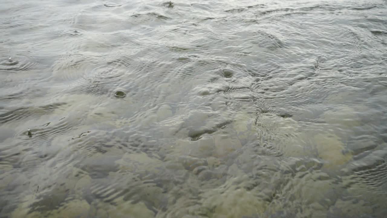 Falling of a stone to the river. Rain on the mountain river. Slow motion