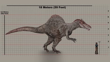 tamaño del espinosaurio en un gráfico. medición del espinosaurio. animación