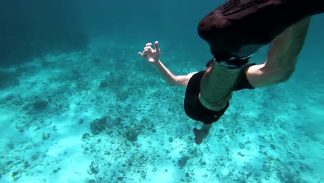 caribe océano submarino vida silvestre 4k buzo