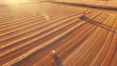 Drone-footage-of-golden-fields-and-combine-harvester