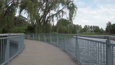 crossing a bridge on a cloudy day with a willow tree