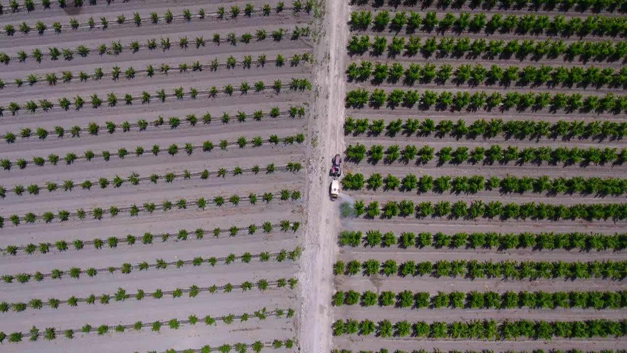 Tractor spraying trees in the orchard