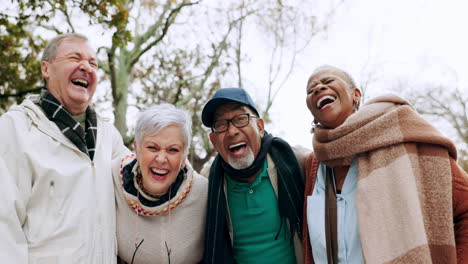 Feliz,-Retrato-Y-Grupo-De-Amigos-Mayores