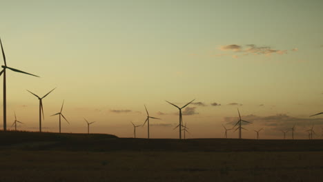 parque eólico al atardecer