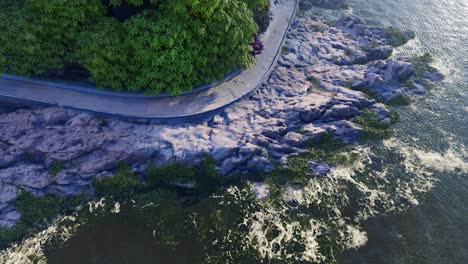 Aerial View of a Curved Coastal Path with Lush Trees and Rocky Shoreline