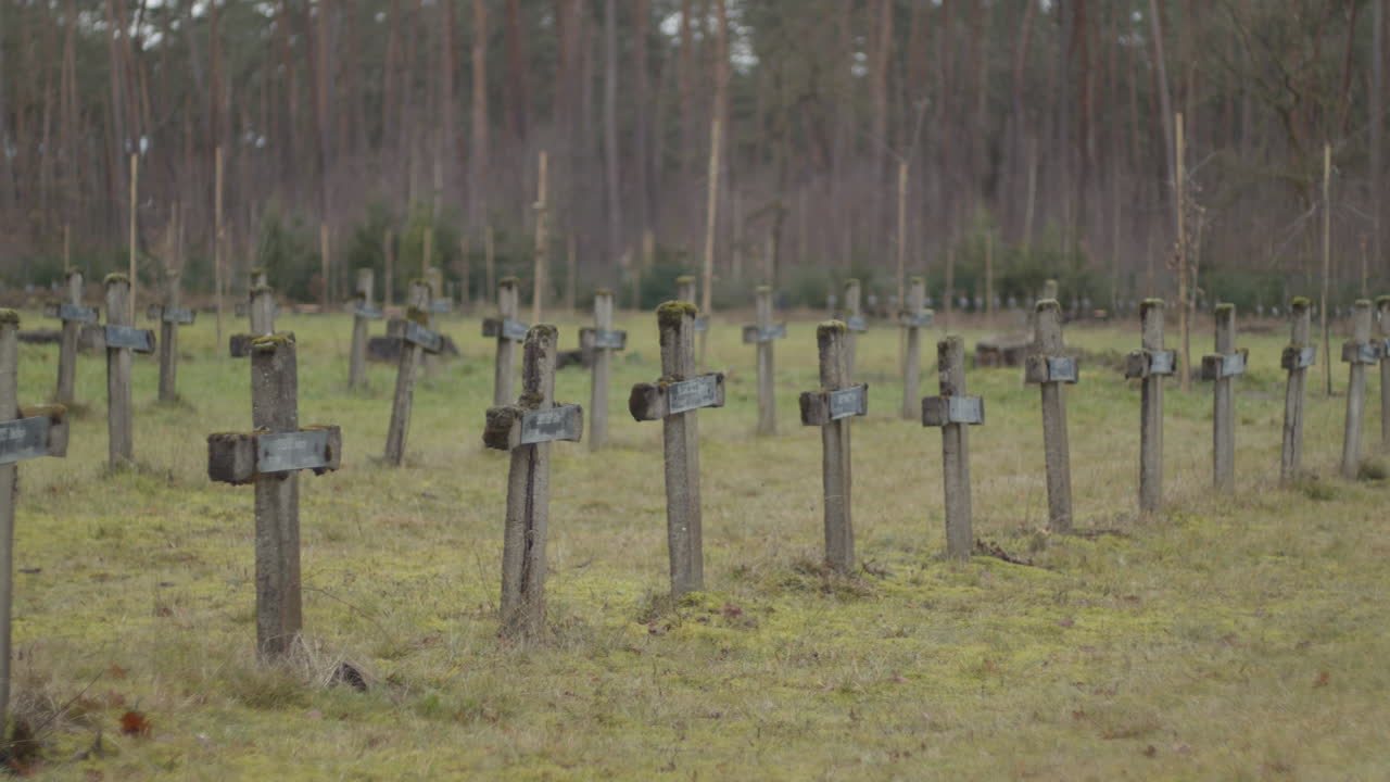 버려진 묘지에서 오래된 묘비의 줄을 패닝
