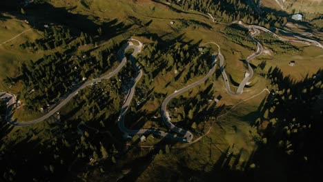 Aerial-view-of-a-italian-winding-road,-summer-trip,-green-grass-and-coniferous,-color-graded