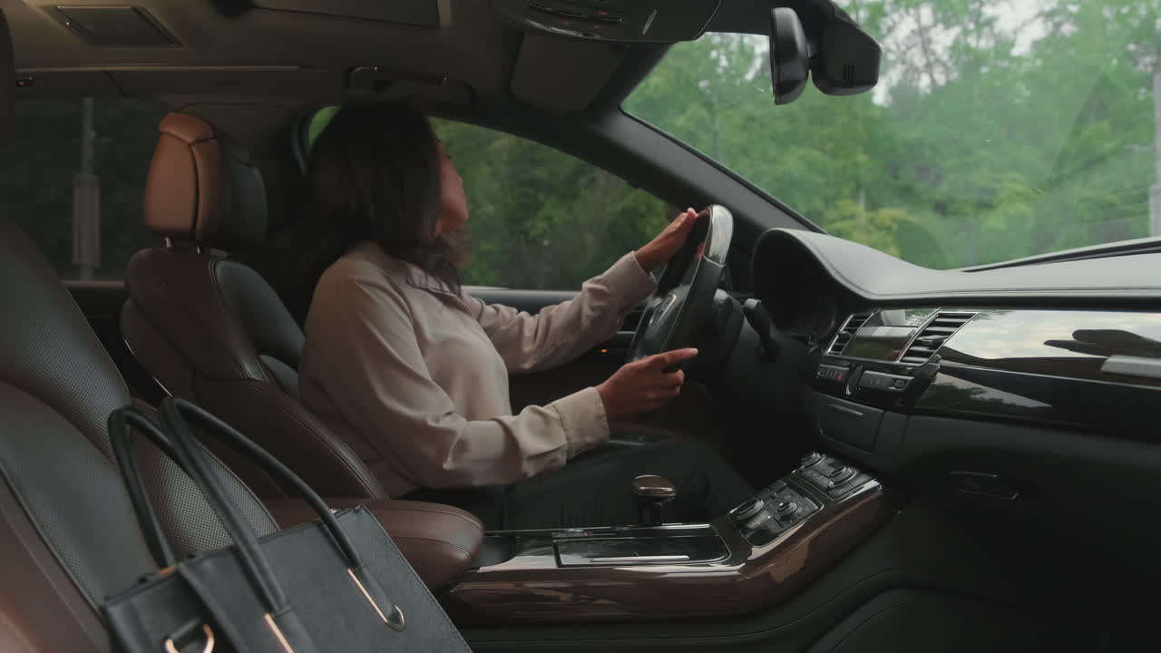 사업가 여성이 차에 타고