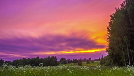 paisaje nublado sobre un campo de flores silvestres con colores brillantes al atardecer - lapso de tiempo estático de gran angular