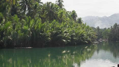 tropical river lined with lush palm trees and green mountains in the background