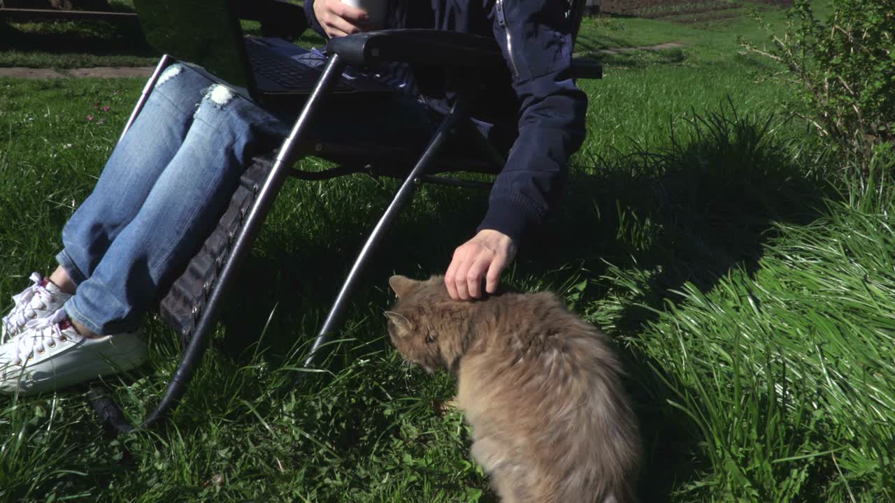 잔디에 회색 고양이를 가진 여자