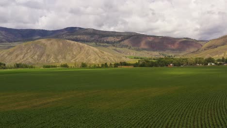 Das-Ackerland-Und-Die-Halbtrockene-Schönheit-Von-Cache-Creek