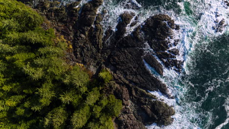 drone video at sunset in ucluelet british columbia, canada over the ocean and forest