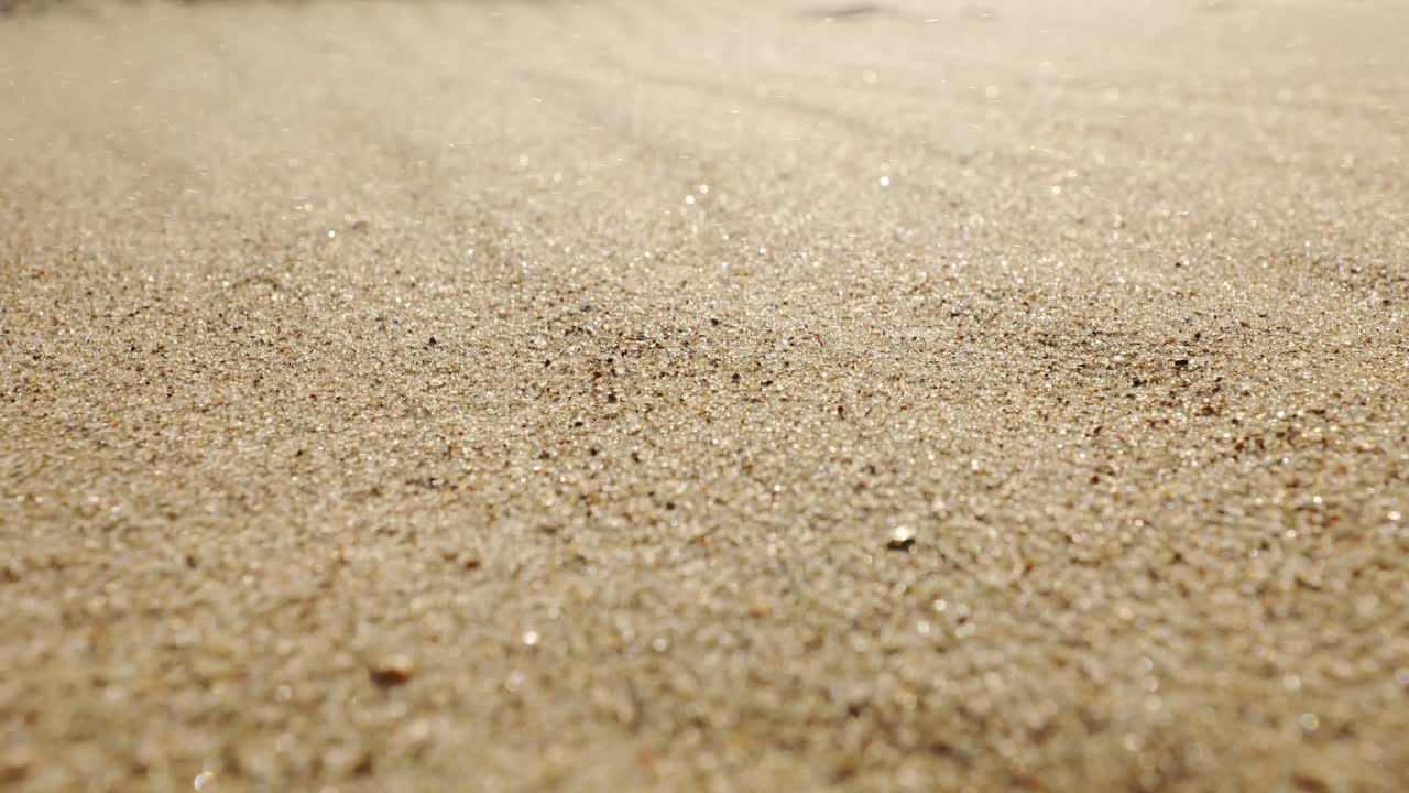 風に舞う砂粒が太陽の光を浴びて穏やかな金色にきらめくビーチの砂のクローズアップ。