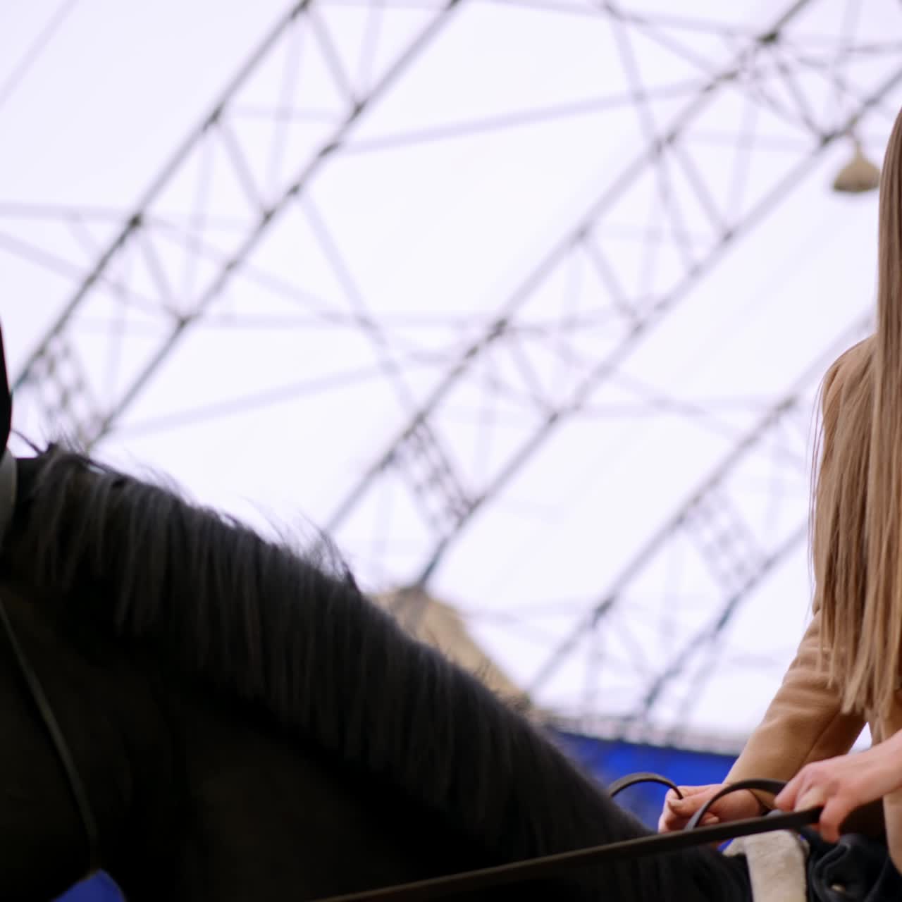 Brunette woman sitting on a gorgeous black horse. Lady leans forward to pet the animal. Low angle view. Manege at backdrop