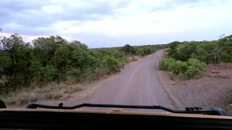toma de pov desde un vehículo de safari 4x4 conduciendo a lo largo de la pista de tierra en ol pejeta, kenia