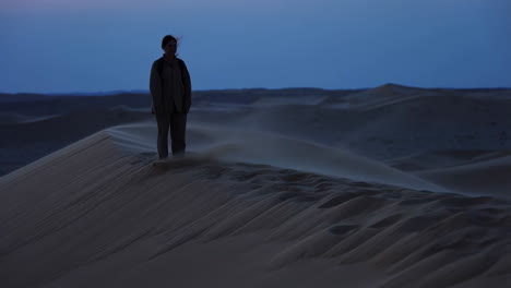 Person standing on a sand dune in a vast desert at dusk