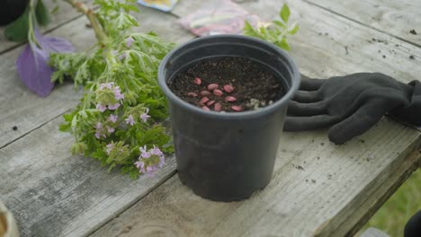 showcase inzoomen een pot beplant met zaden pompoen houten tafel en planten nabij werkplaats landbouwtuin