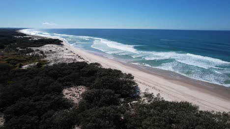 foamy waves on the south stradbroke island along the bushy coastal reserve