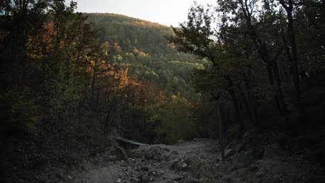 Walking-down-a-dry-riverbed-in-a-Serbien-autumn-forest