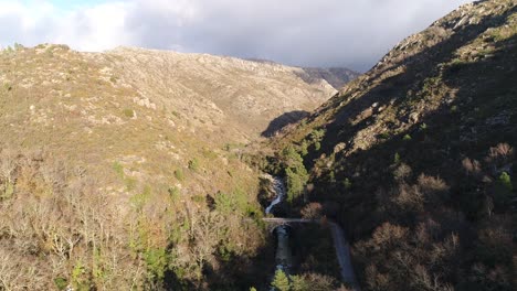 Wunderschöner-Rocky-Mountains-Creek,-Umgeben-Von-Moosbänken