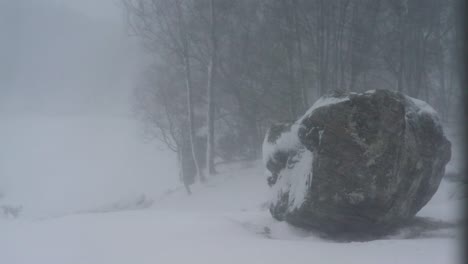 snowstorm in gulen, norway