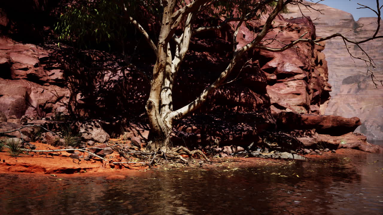 el río colorado fluye a través del gran cañón.