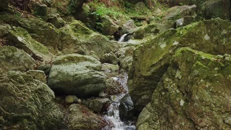 sacred shugendo forest stream in mountains of japan, place of yamabushi worship