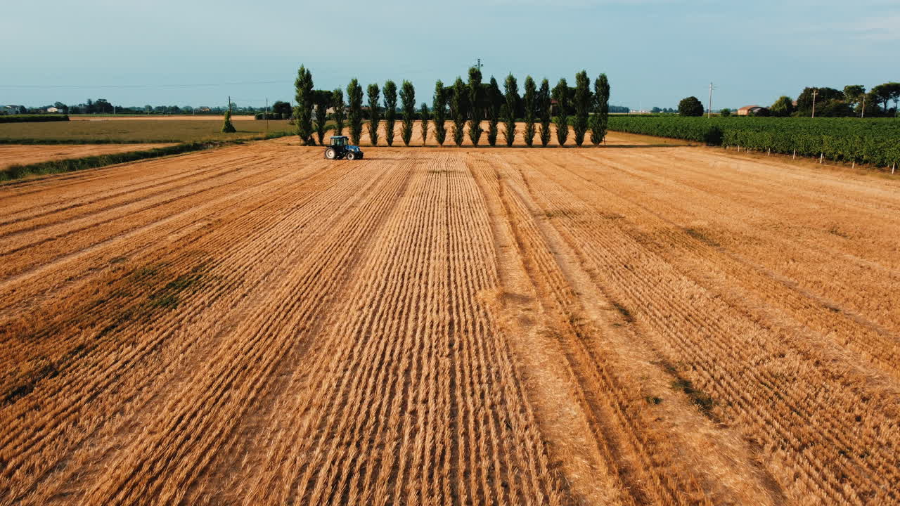 tractor trabajando en un campo de trigo dorado