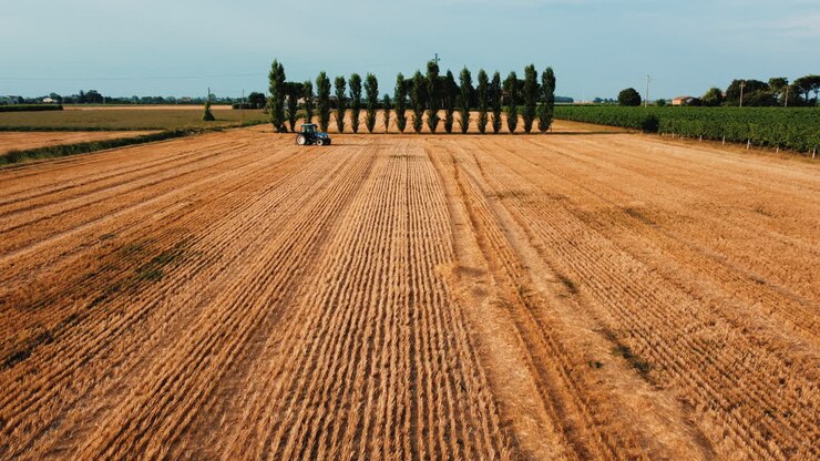 trattore che lavora in un campo di grano dorato