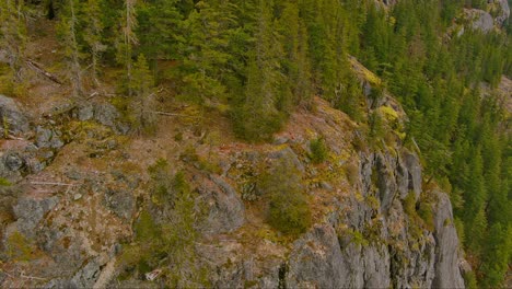 Vista-Aérea-Del-Acantilado-Rocoso-Y-árboles-En-La-Naturaleza-Canadiense