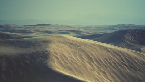 vista de las bonitas dunas de arena en el parque nacional de las dunas de arena