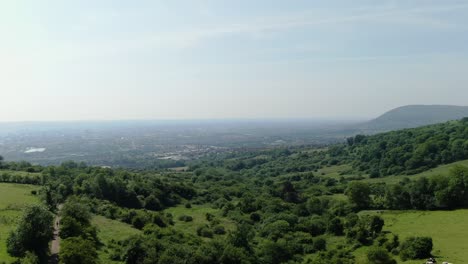 Drone-flight-over-meadows-and-trees-with-view-of-city-with-haze-on-the-horizon