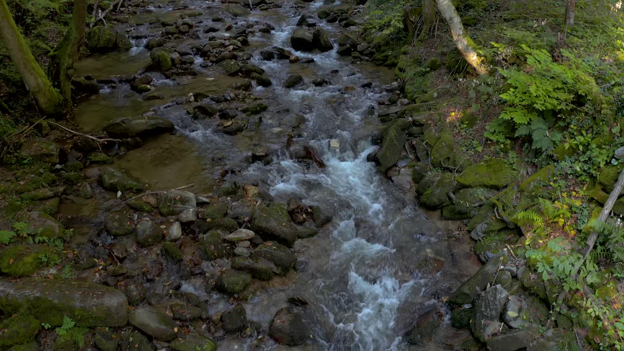 Beautiful landscape with creek through green forest on daylight at Bistriski Vintgar Slovenia