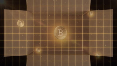 animation of gold bitcoins over grid and opening and closing cardboard box