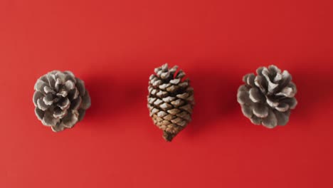 Video-of-pine-cones-lying-on-red-surface