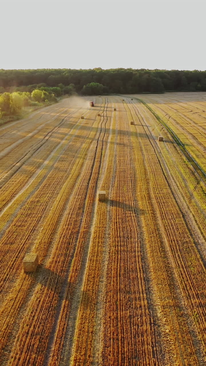 Farmer moving bales of hay with tractor. Tractor and trailer with hay bales in rural landscape