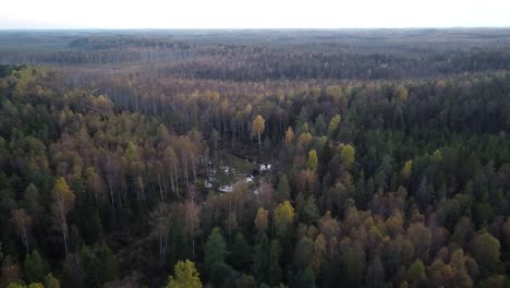 Colores-Estacionales-Del-Bosque-A-Principios-De-Otoño-Vista-Aérea