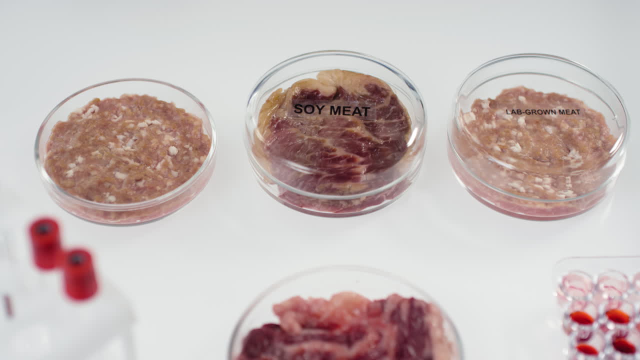Lab-Grown and Soy Meat Samples in Petri Dishes