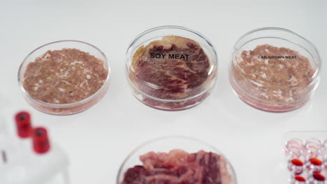 lab-grown and soy meat samples in petri dishes