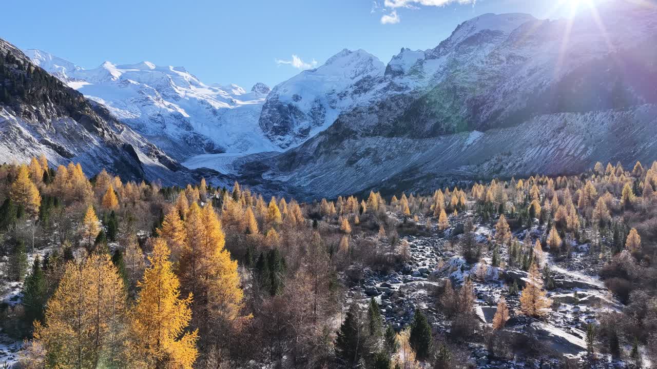 Drone che sorvola la valle di Sankt Moritz Engadin, in Svizzera, foresta autunnale dorata, Alpi innevate e luce solare intensa sulle cime delle montagne in un cielo azzurro limpido